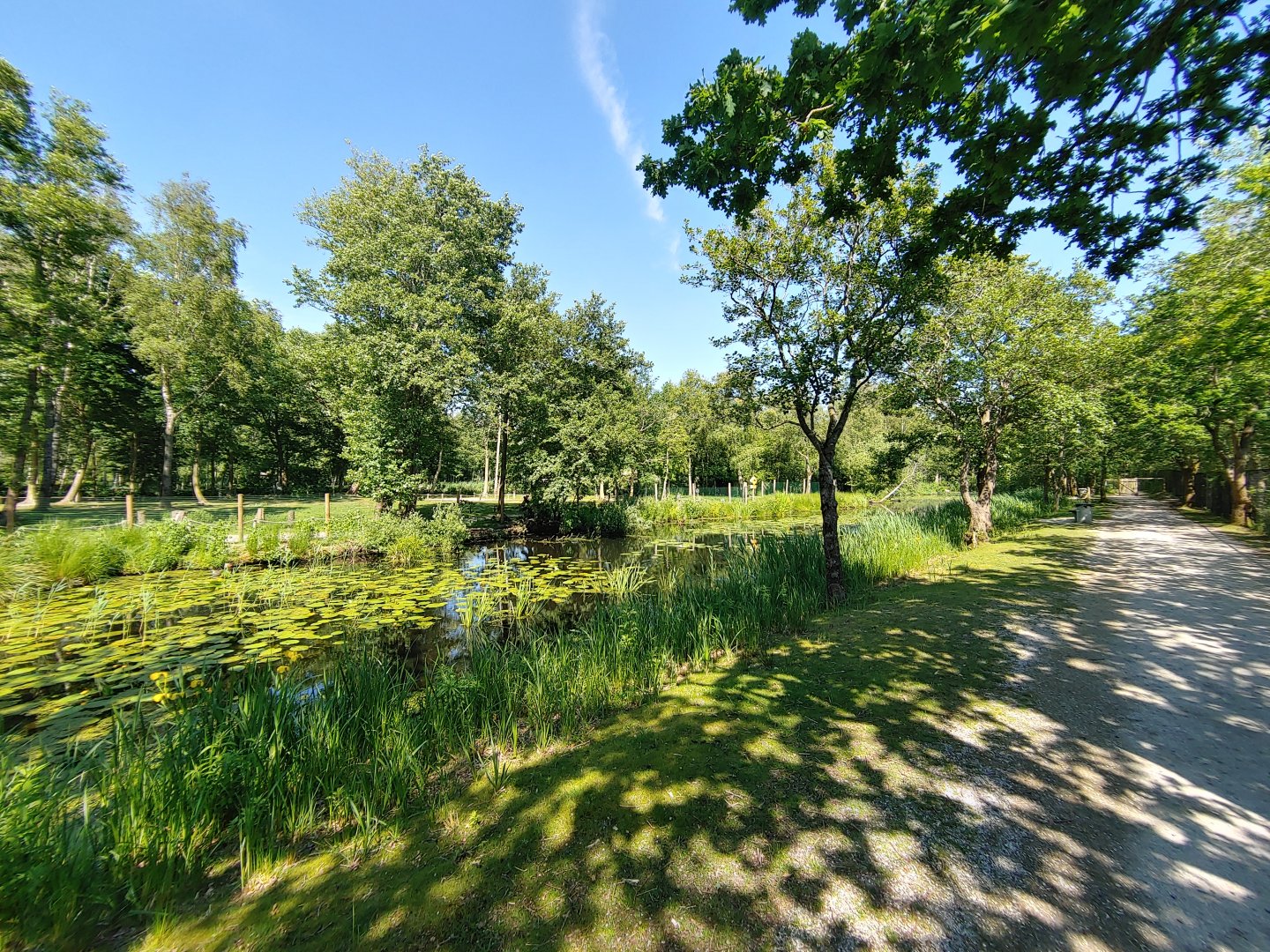Kangaroo island - a look at the island