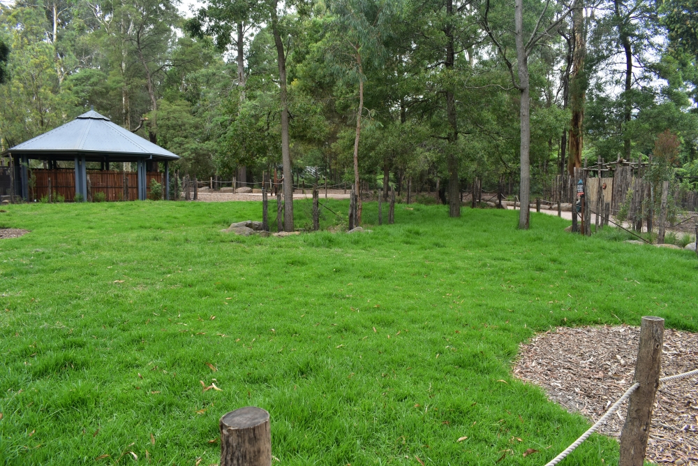 Kangaroo Island Kangaroo Enclosure
