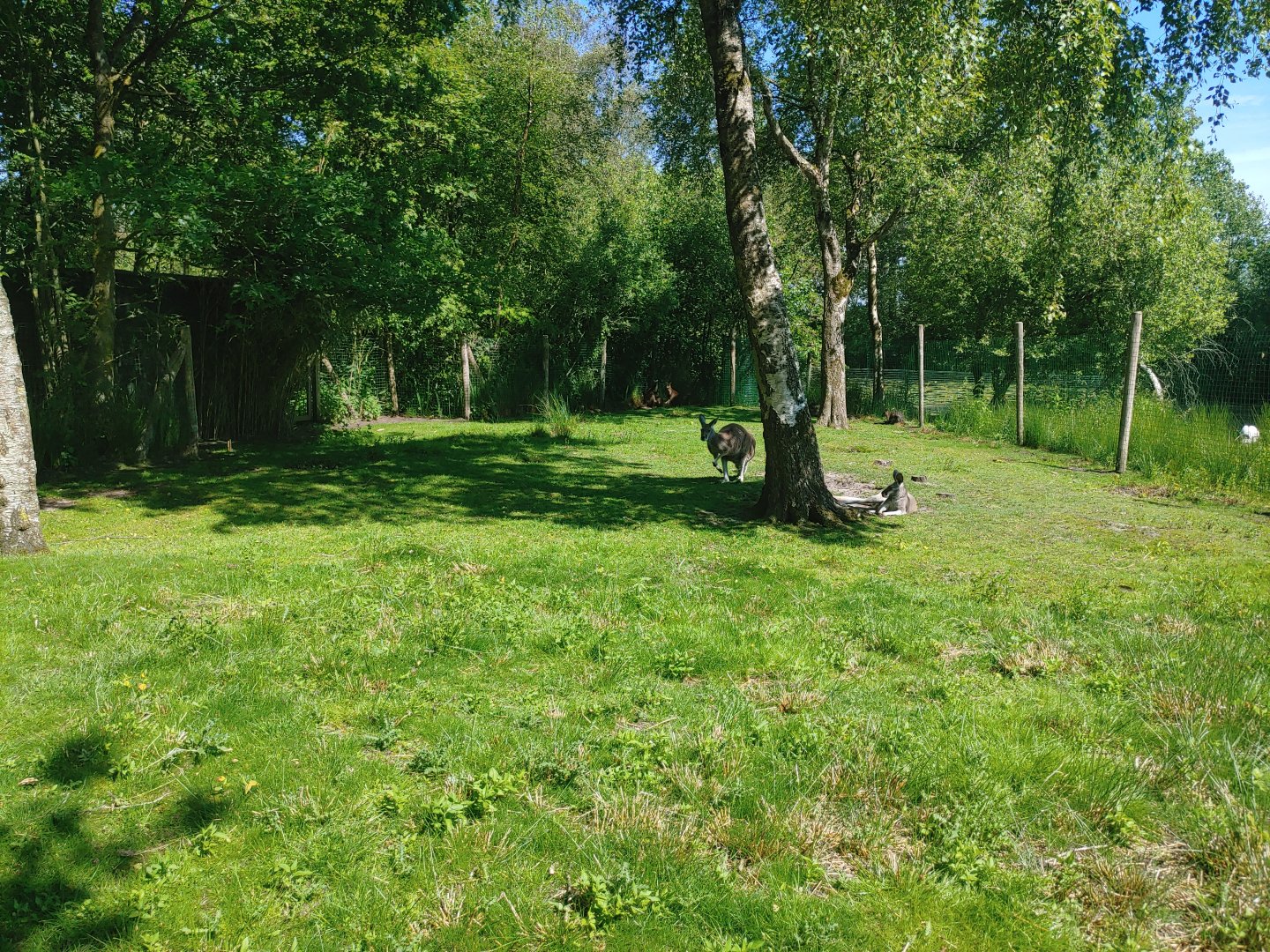Kangaroo island - view at the back of the island