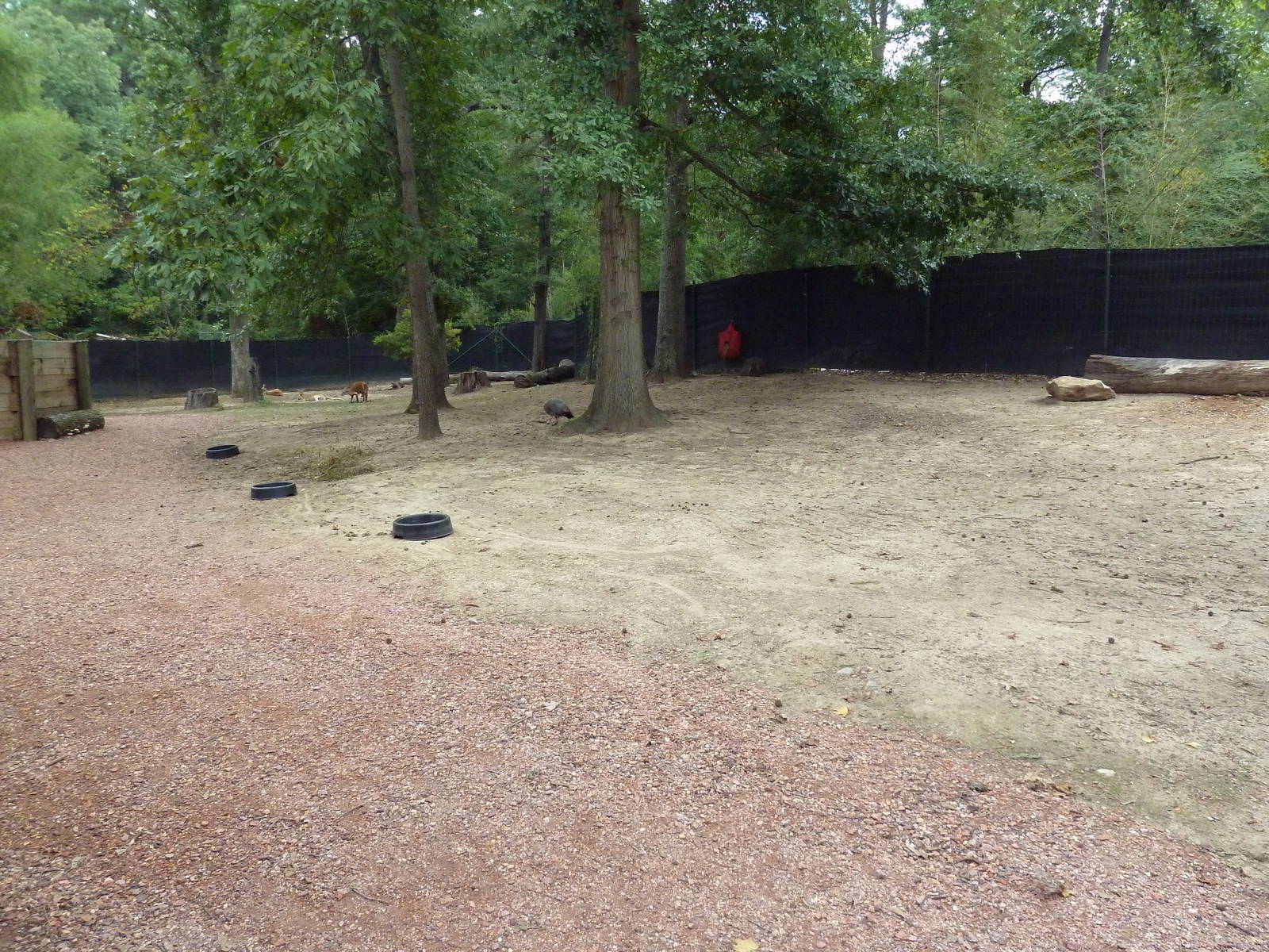 Kangaroo Kountry - Bennett's Wallaby/Parma Wallaby/Red Kangaroo/Cape Barren