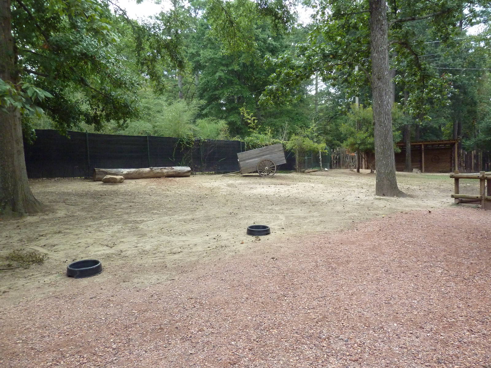 Kangaroo Kountry - Bennett's Wallaby/Parma Wallaby/Red Kangaroo/Cape Barren