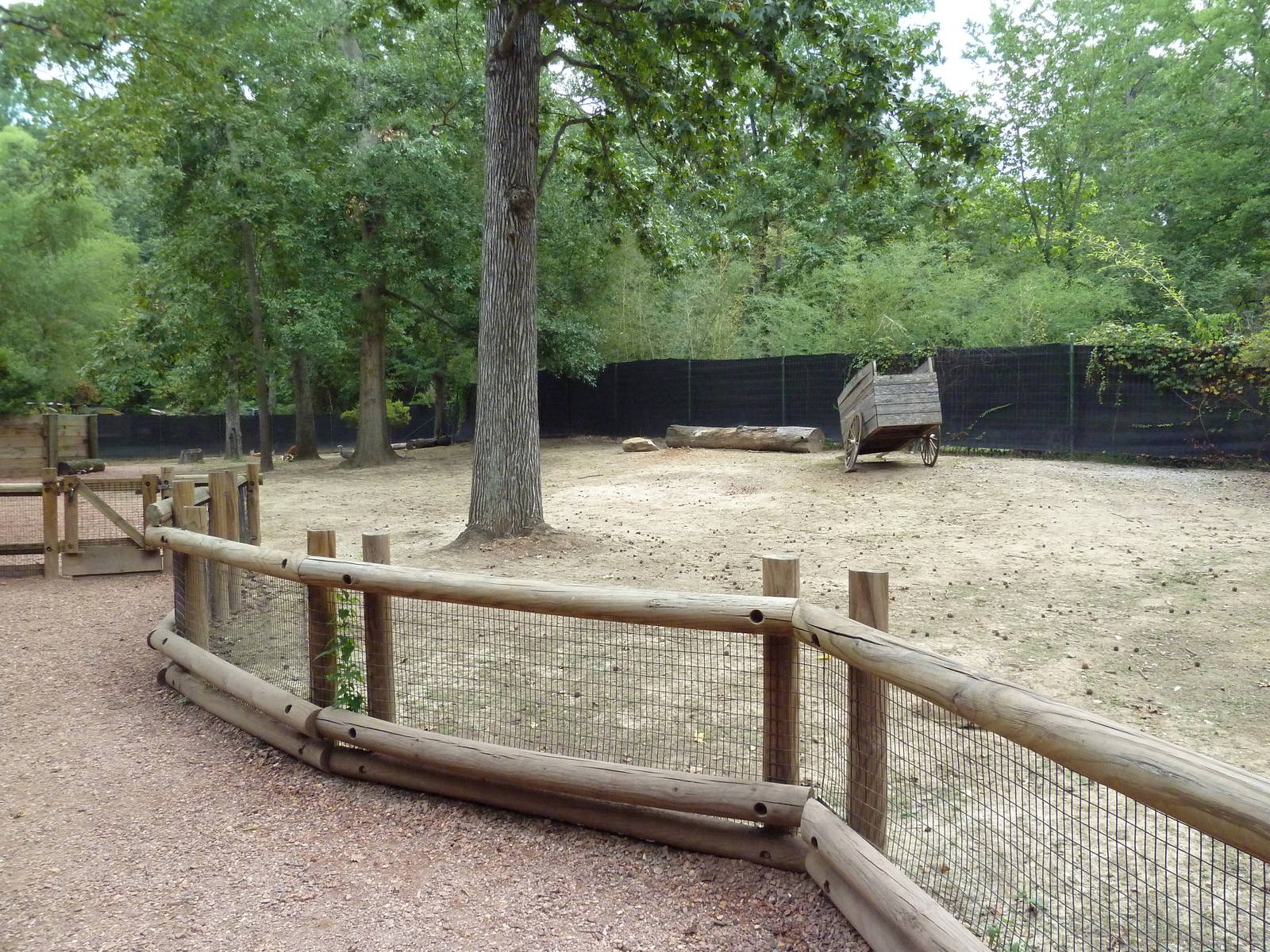 Kangaroo Kountry - Bennett's Wallaby/Parma Wallaby/Red Kangaroo/Cape Barren