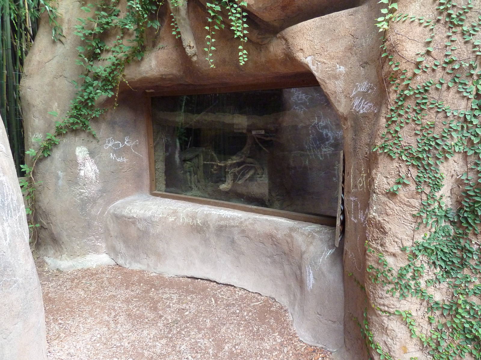 Kangaroo Kountry - Brush-Tailed Bettong Exhibit