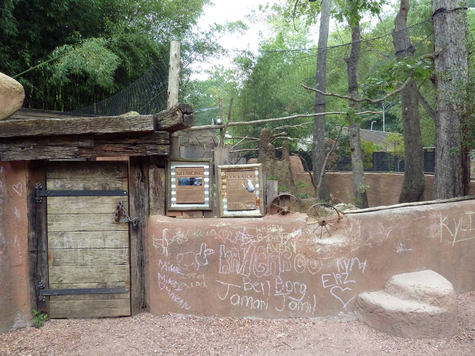 Kangaroo Kountry - Citron-Crested Cockatoo Exhibit