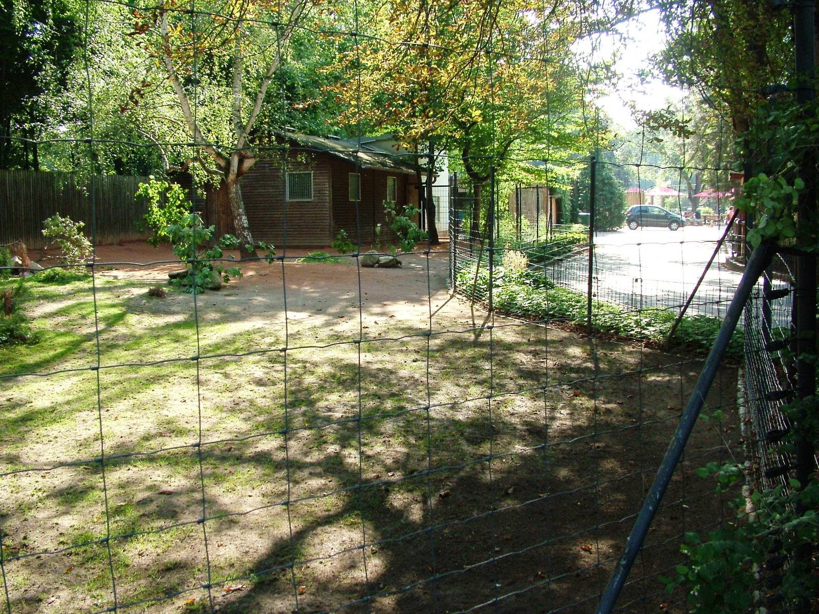 Kangaroo Paddock at Dresden, 29/08/12