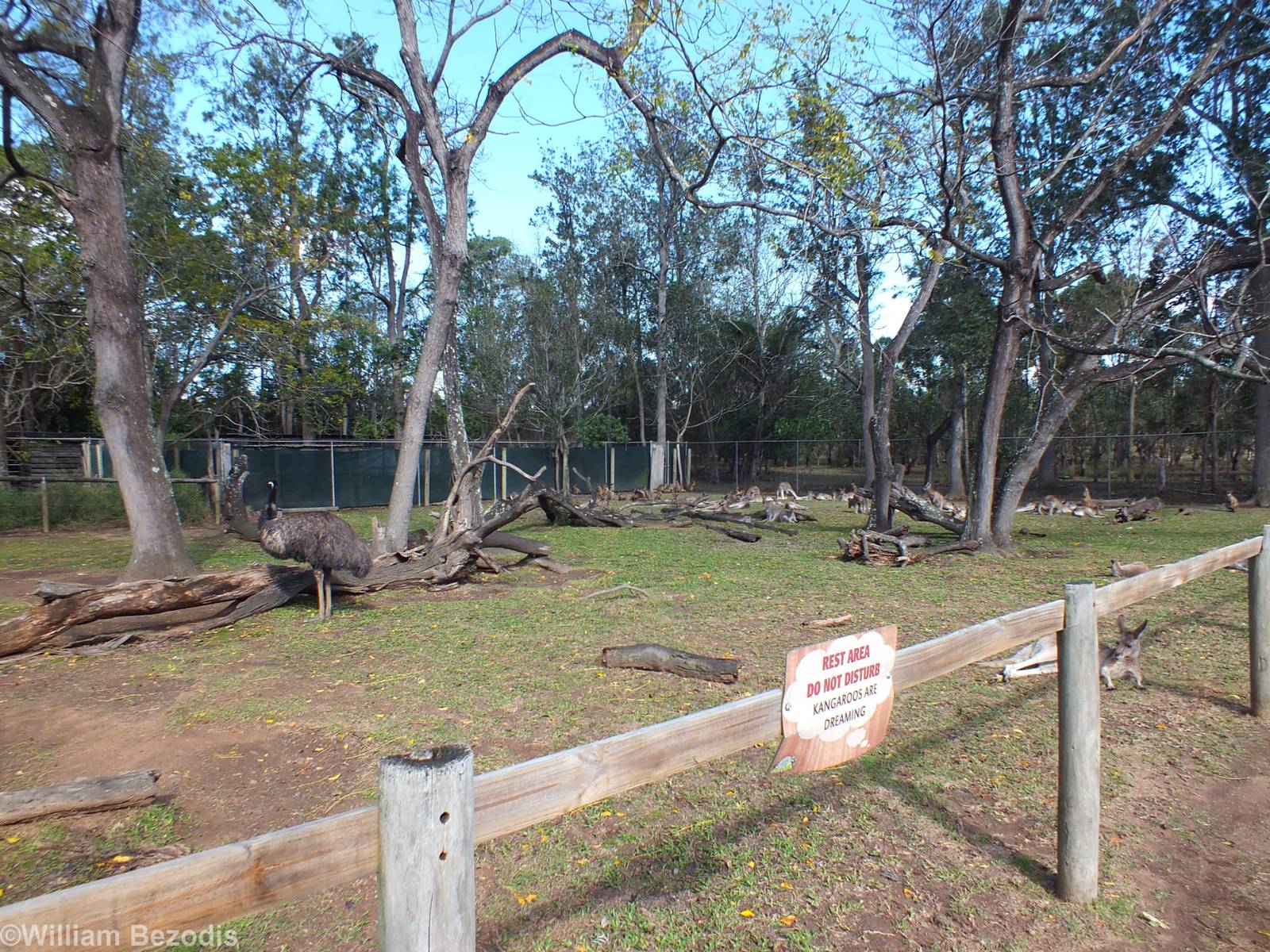 Kangaroo Rest Area