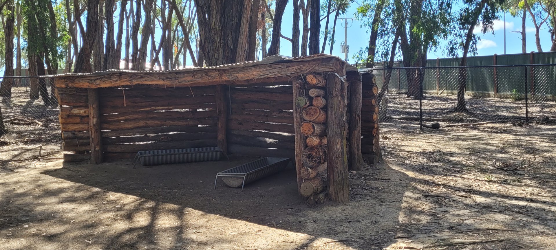 Kangaroo shelter