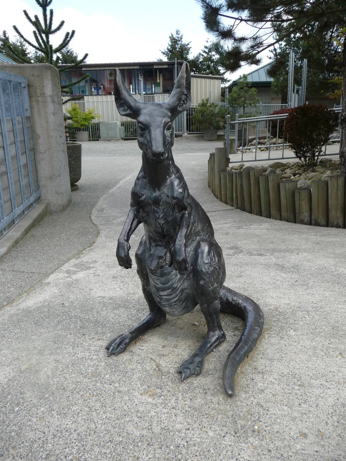 Kangaroo Statue