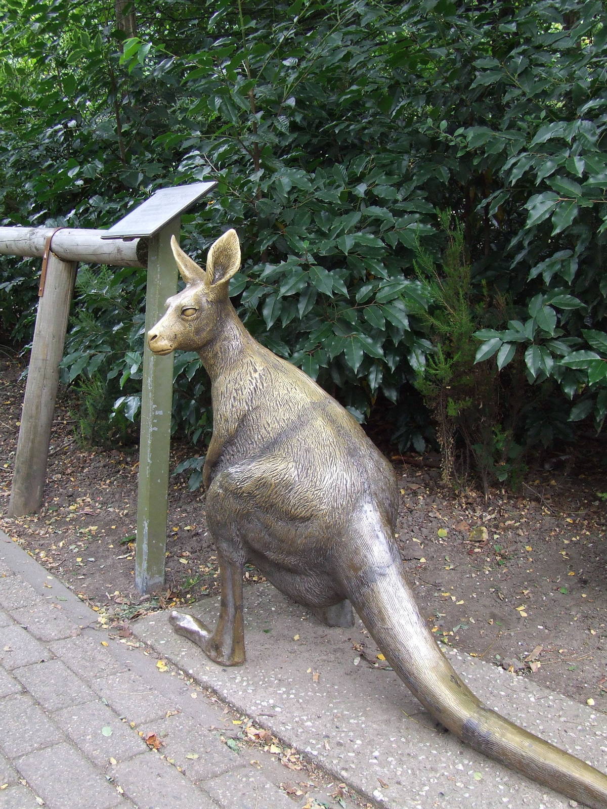 Kangaroo statue