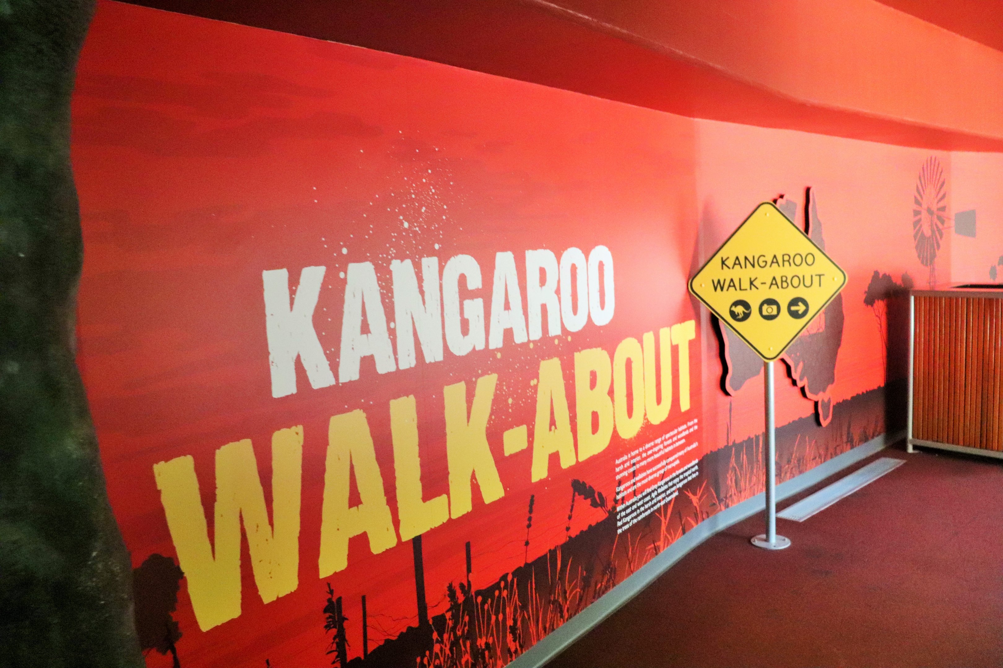Kangaroo Walk-about