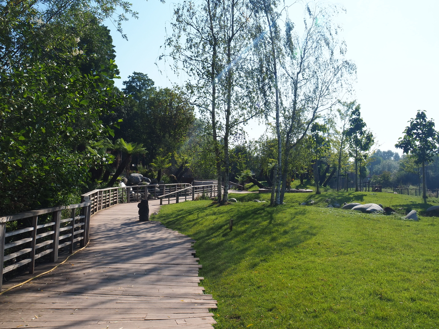 Kangaroo walk-through area, 2021-09-03