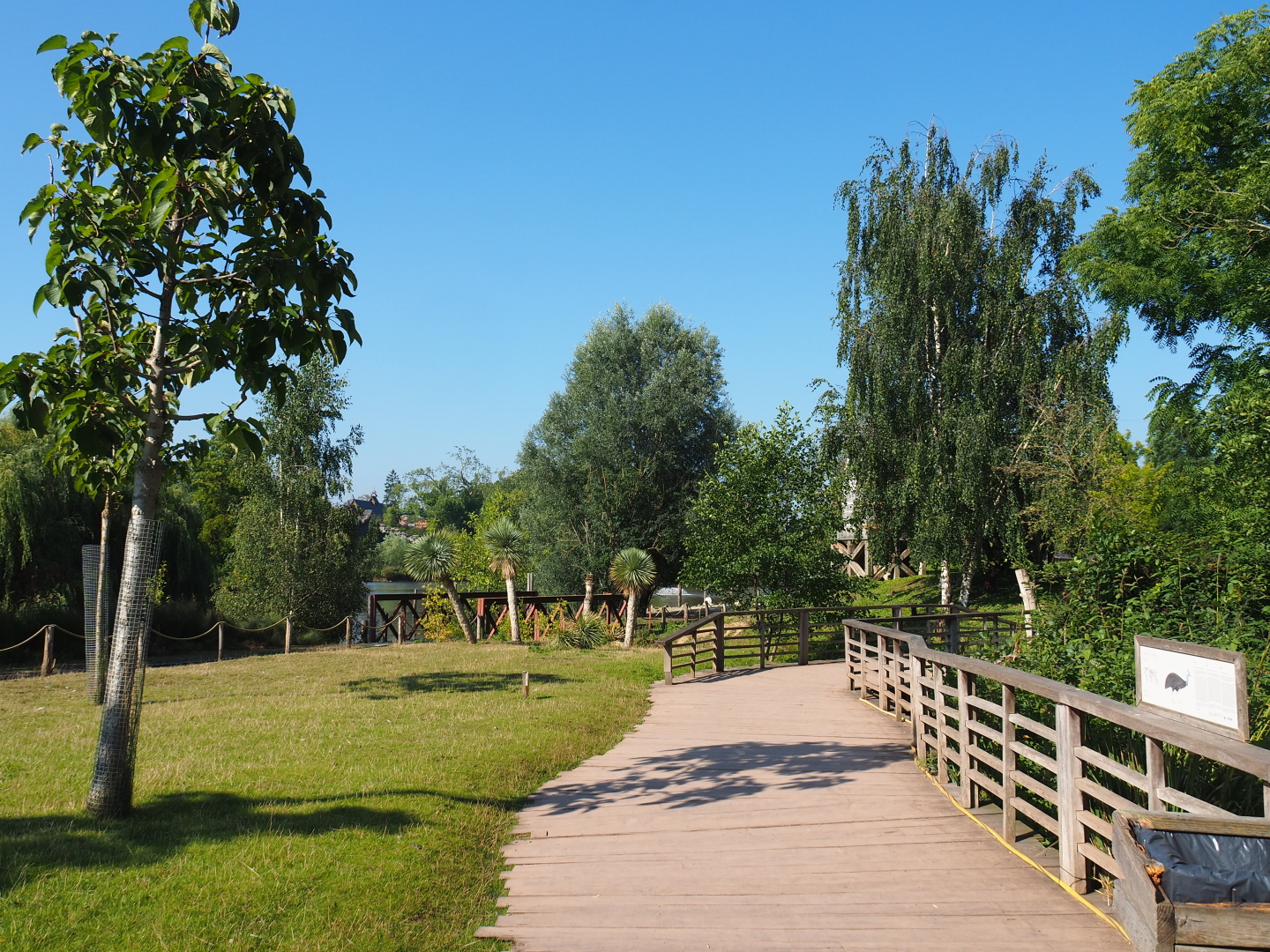Kangaroo walk-through area and viewing area for the cassowary exhibits, 2021-09-03