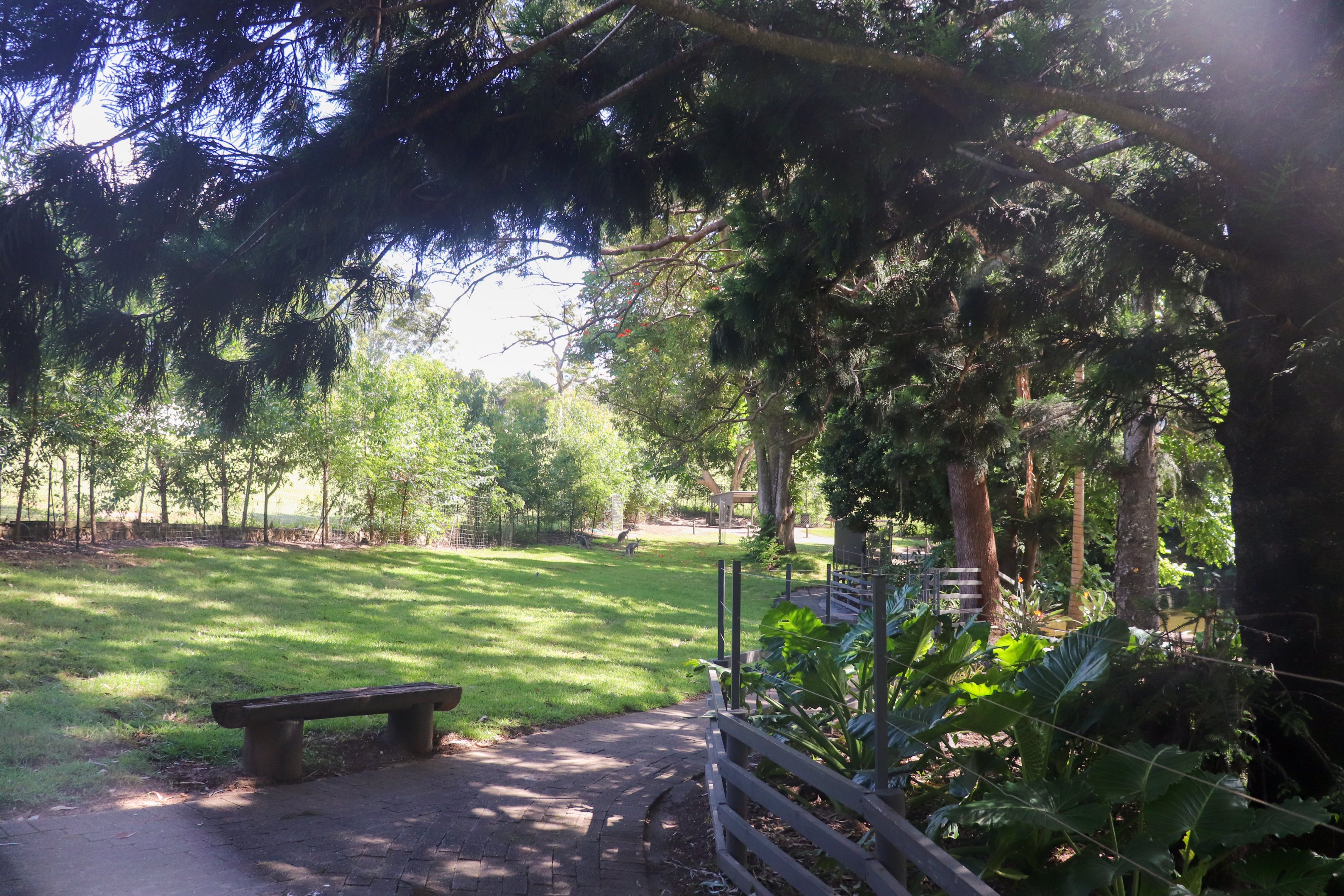 Kangaroo Walk-through Area