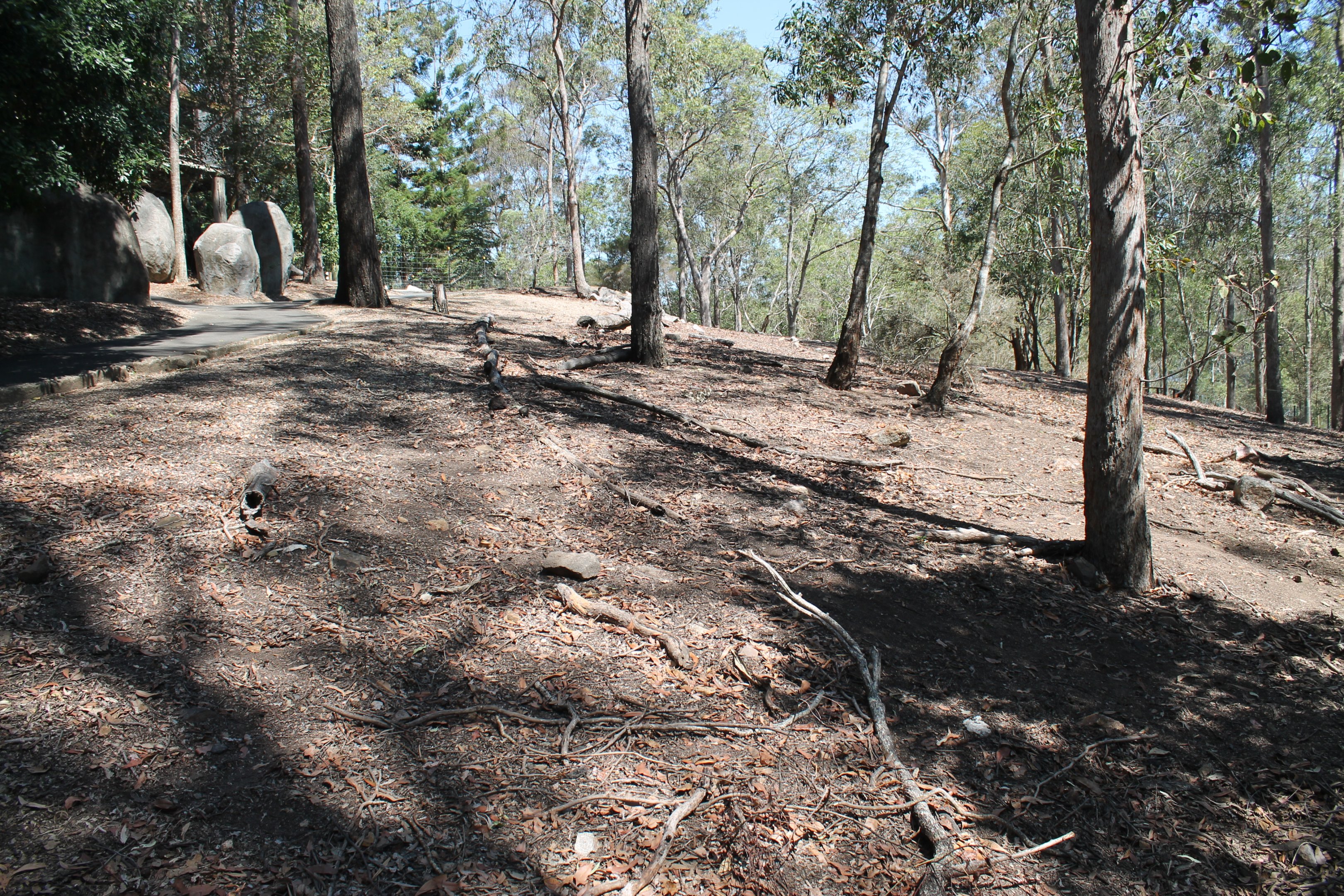 Kangaroo walk-through enclosure