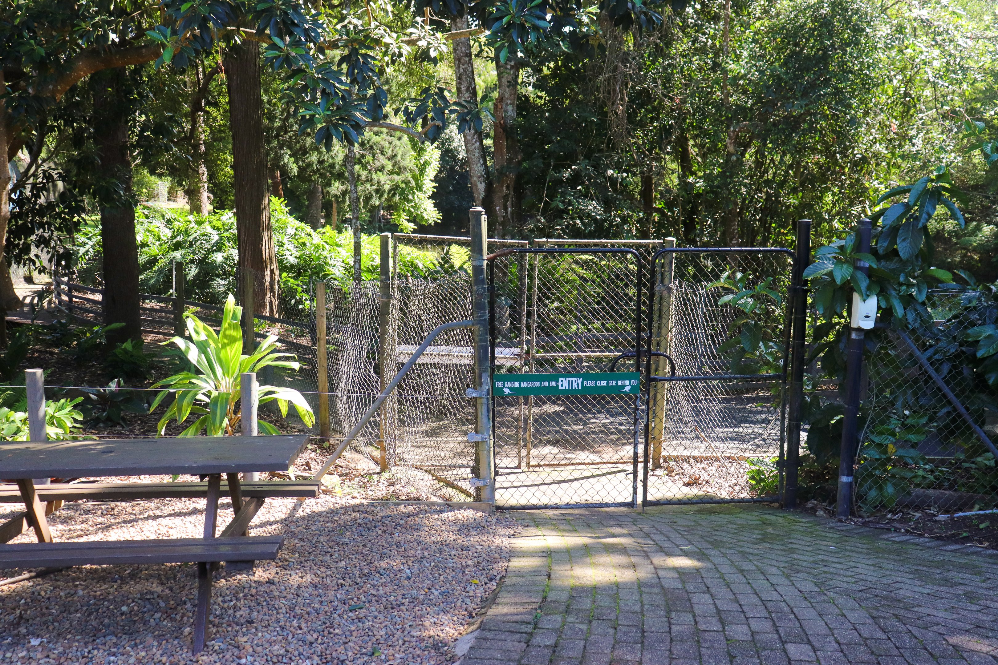 Kangaroo Walk-through Entry