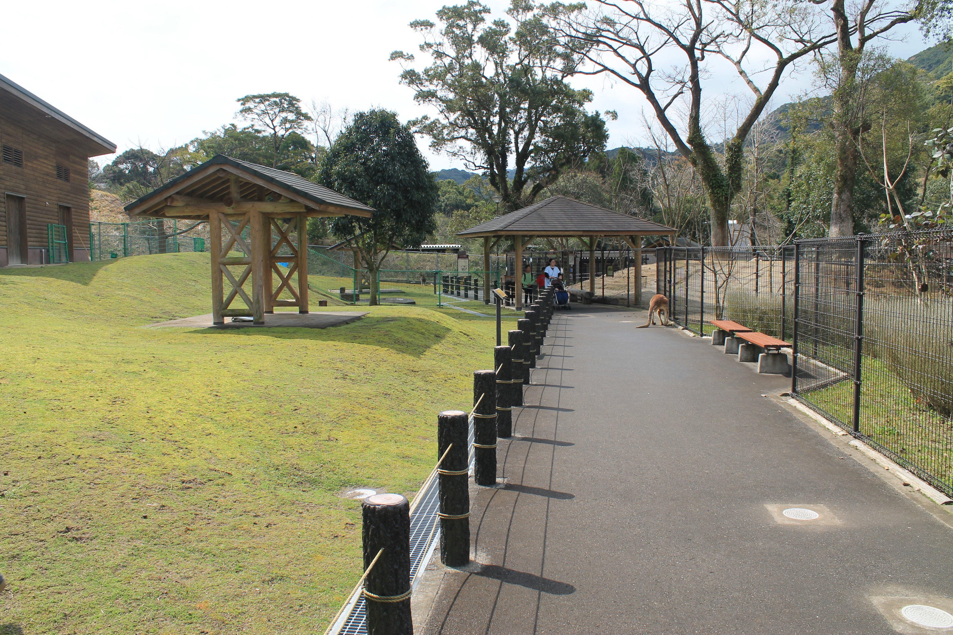 Kangaroo walk-through - Hirakawa Zoo (Kagoshima)
