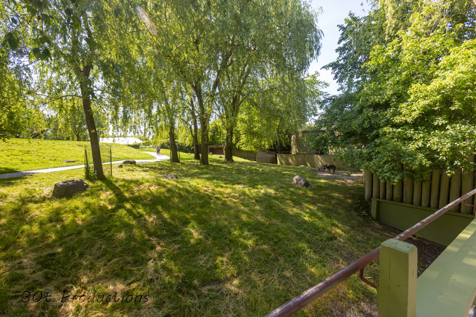 Kangaroo Walk Through - New Exhibit