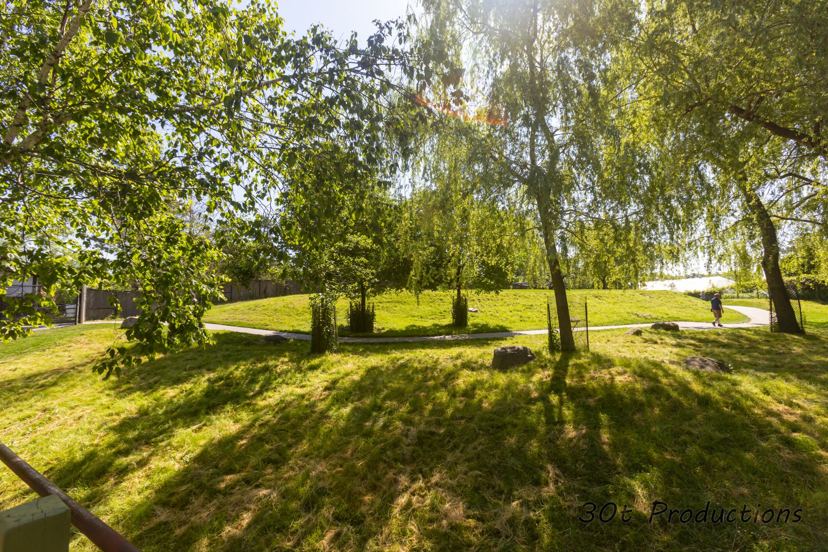 Kangaroo Walk Through - New Exhibit