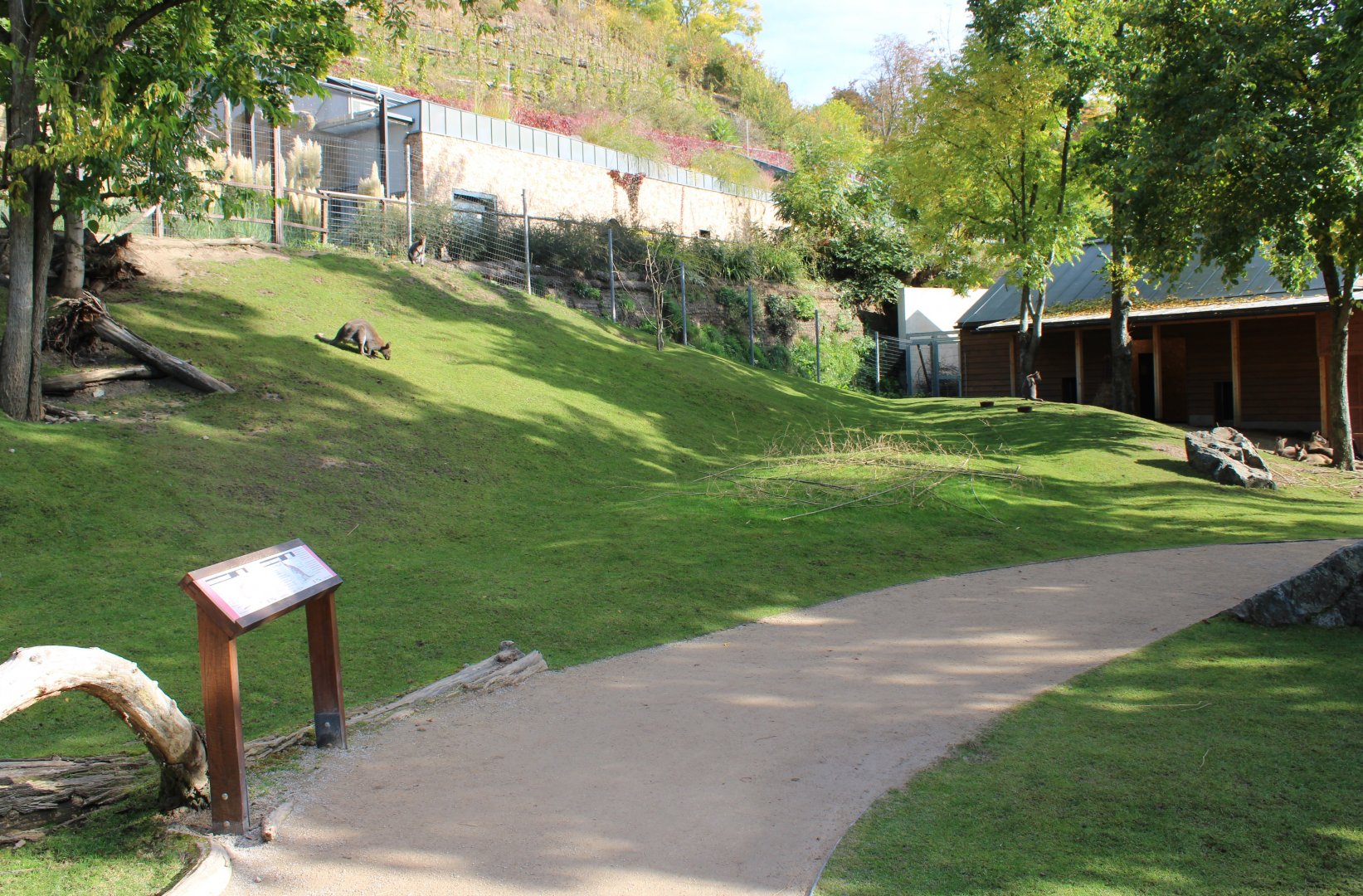 Kangaroo Walk-through