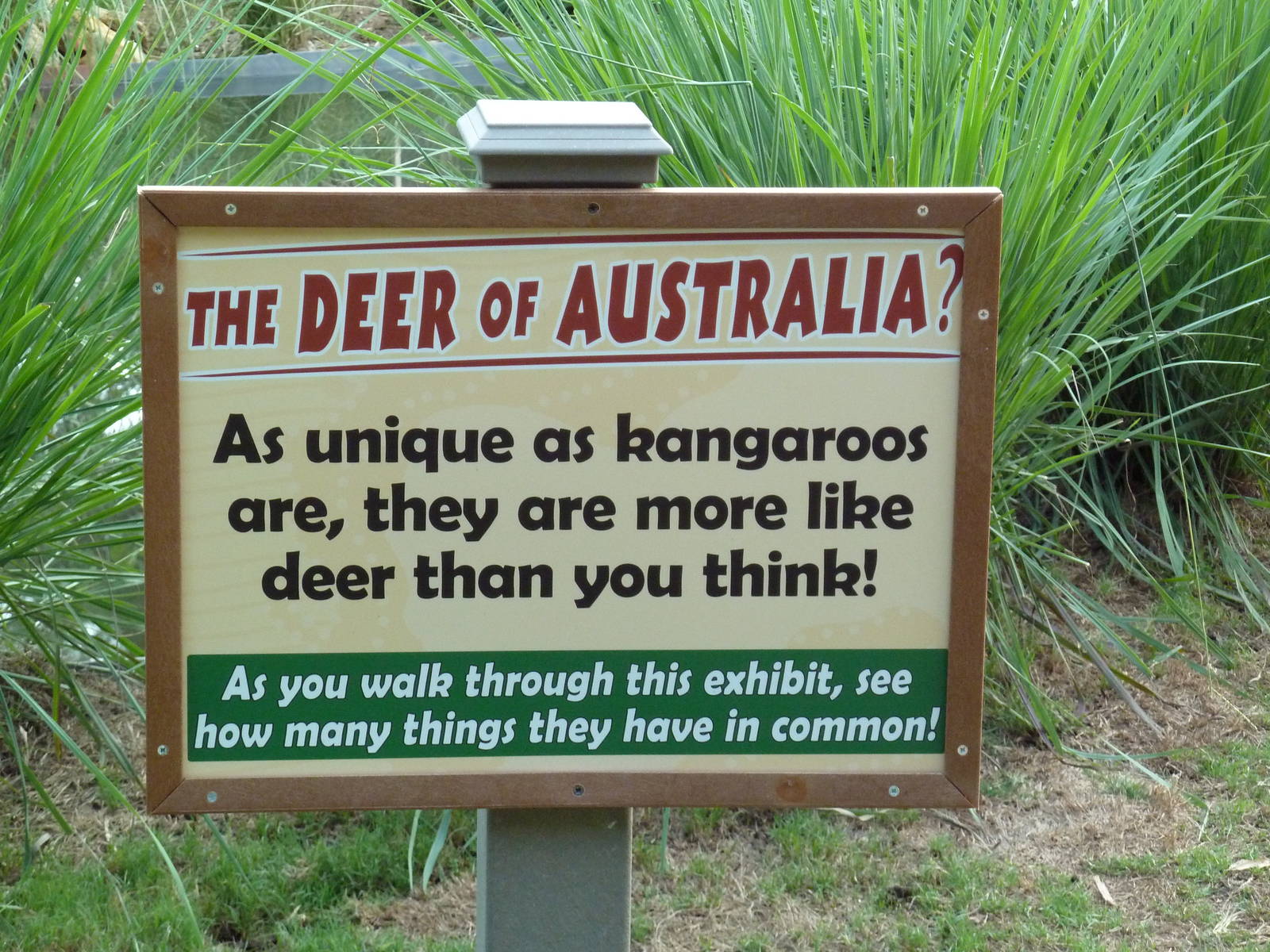 Kangaroo Walkabout - Sign