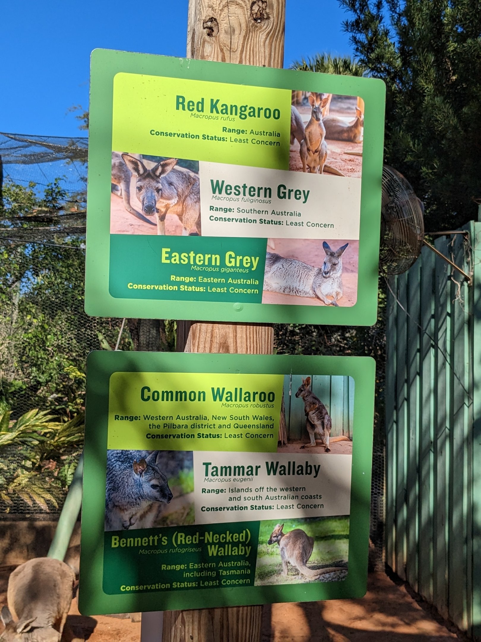 Kangaroo Walkabout  - signage