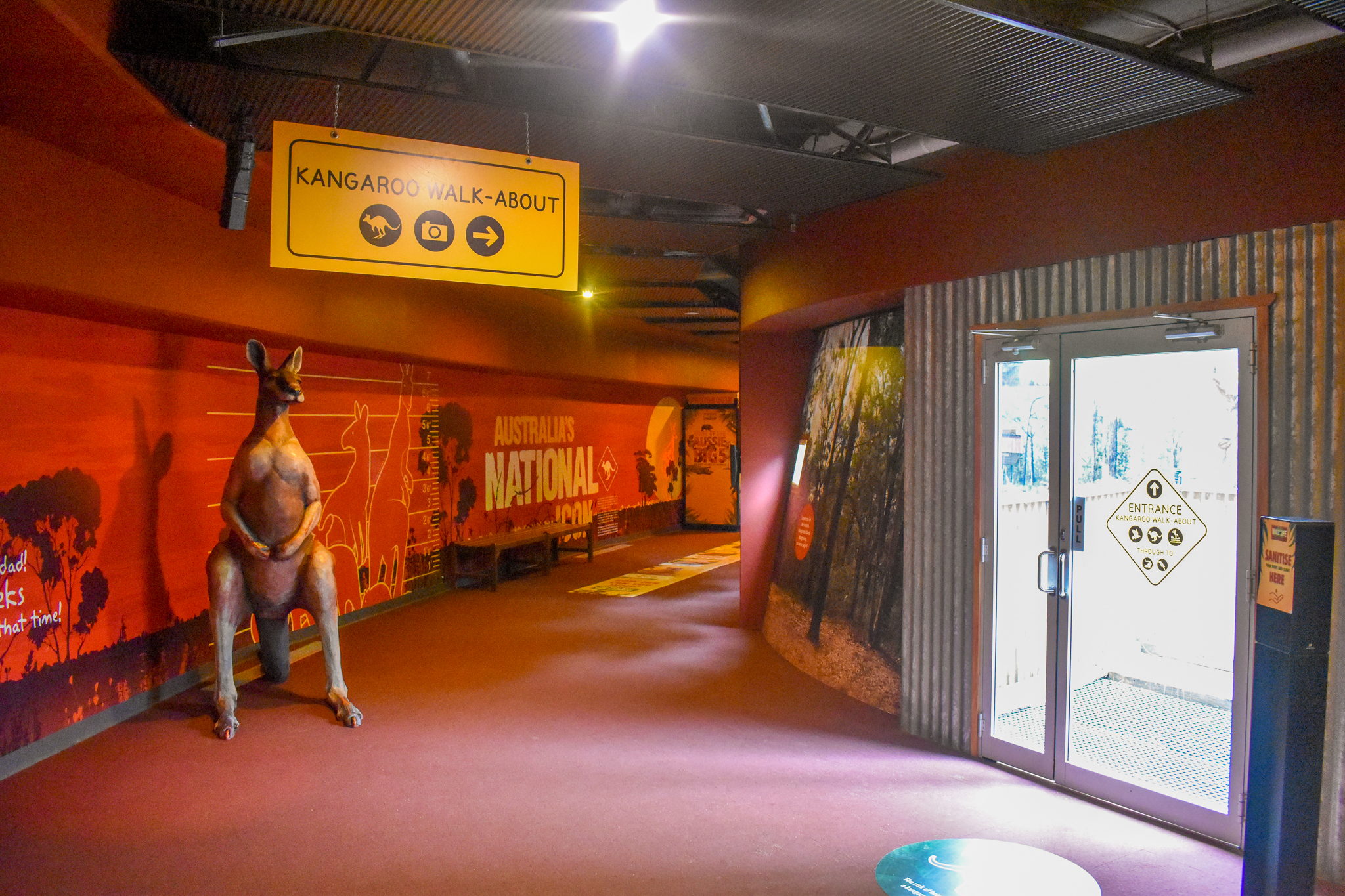 Kangaroo Walkthrough Entrance