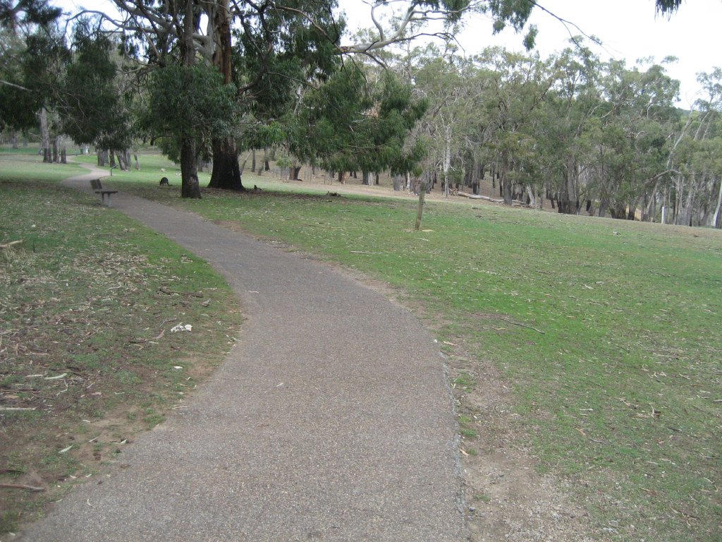 Kangaroo walkthrough