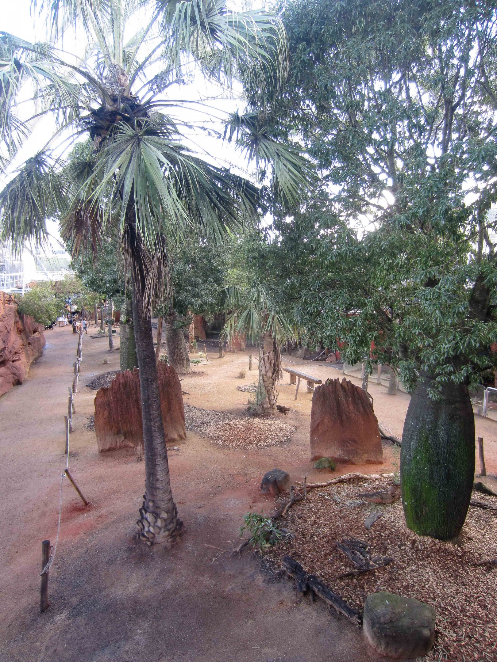 Kangaroo walkthrough