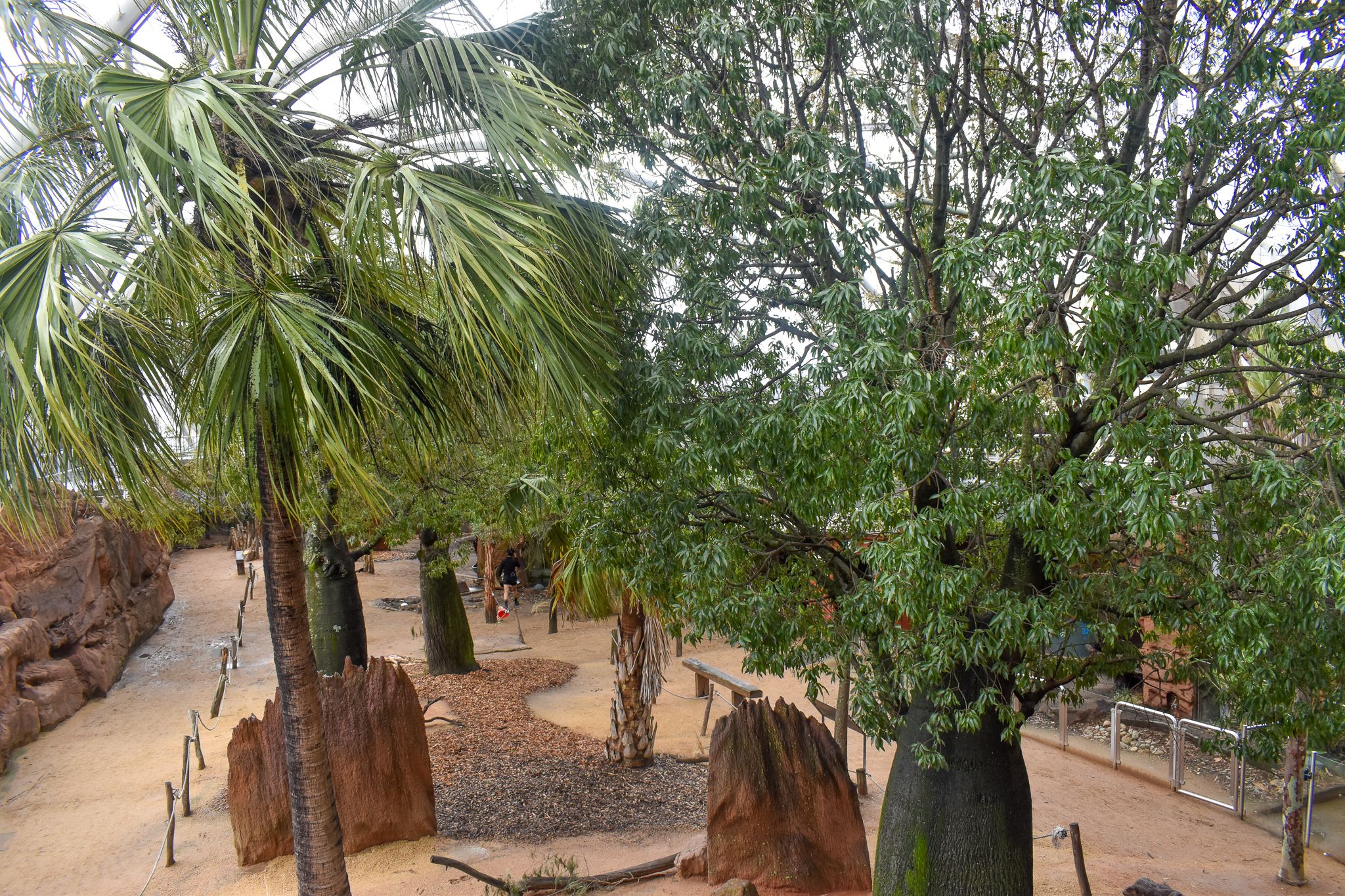 Kangaroo Walkthrough