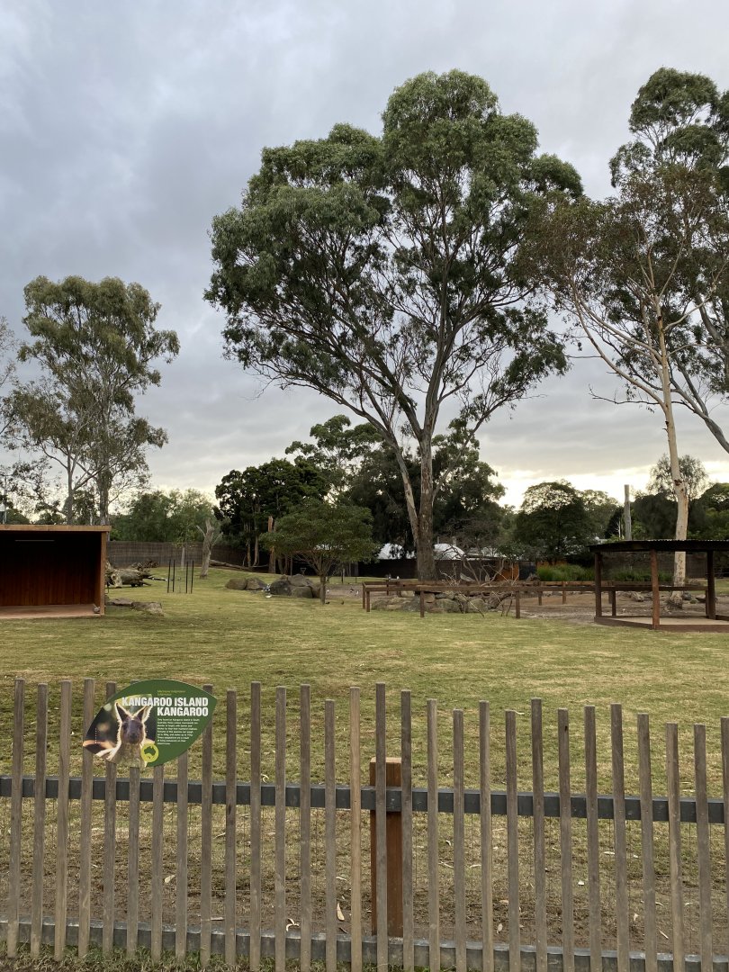 Kangaroo, Wallaby and Emu Enclosure