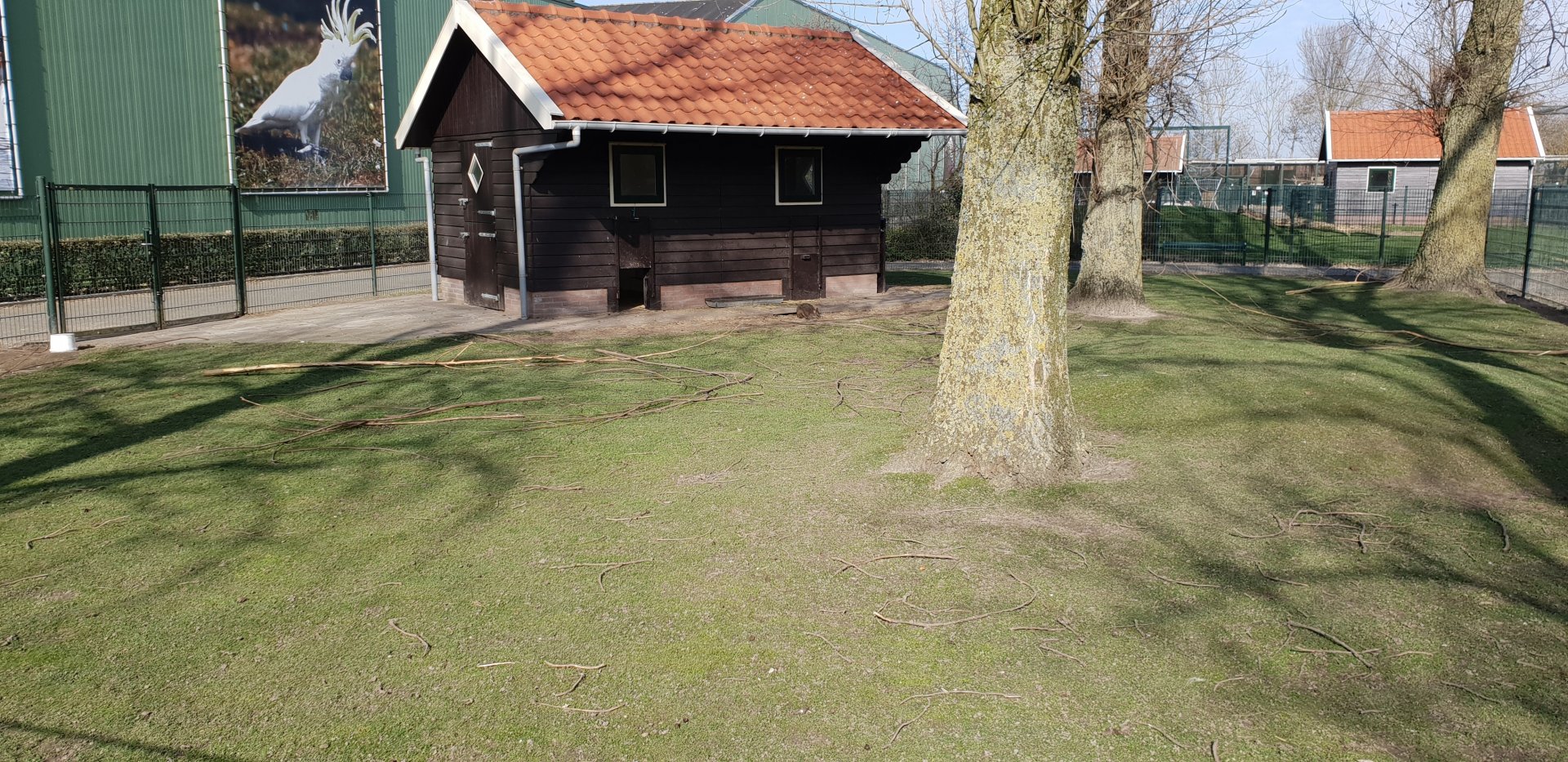 Kangaroo - Wallaby enclosure