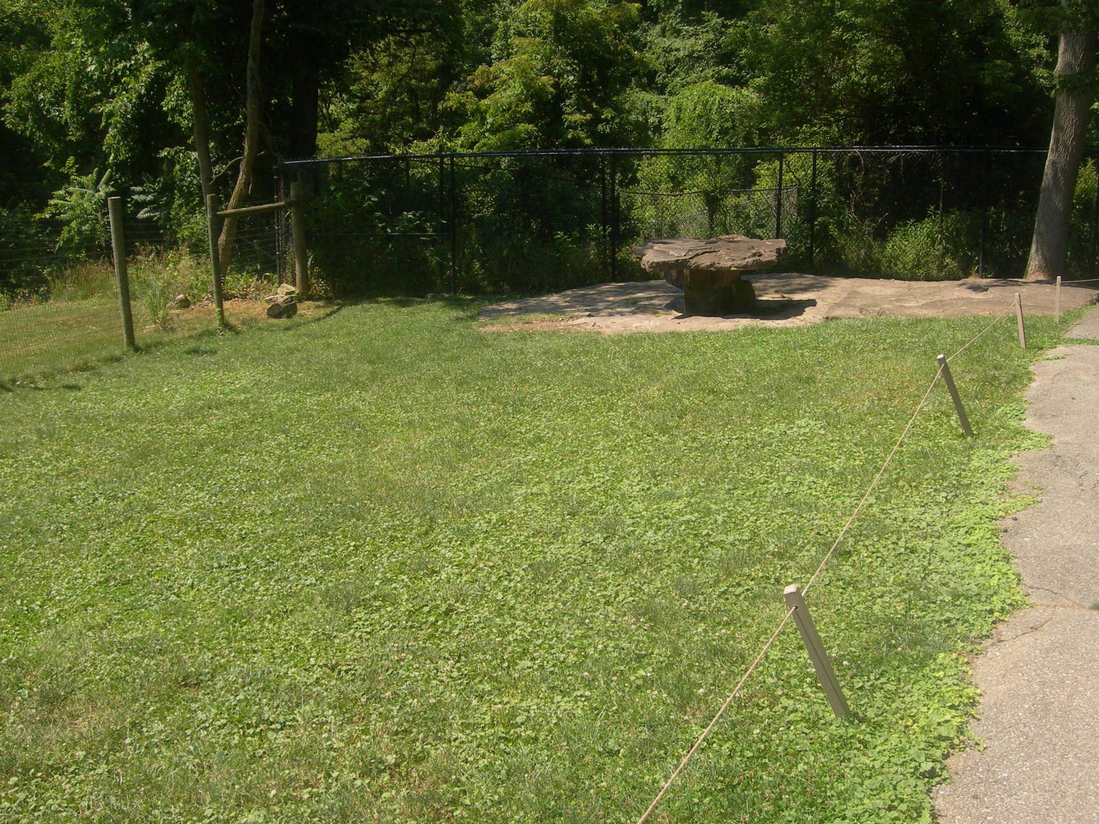 Kangaroo/wallaby exhibit
