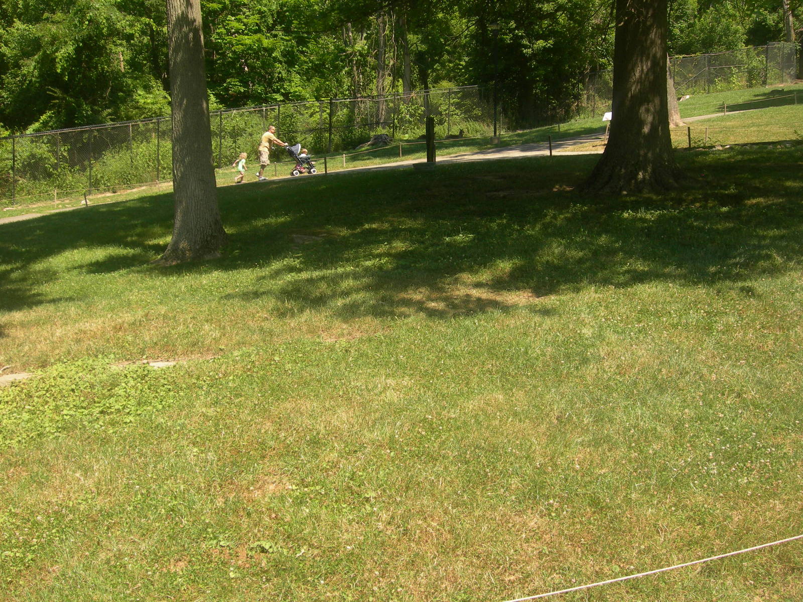 Kangaroo/wallaby exhibit