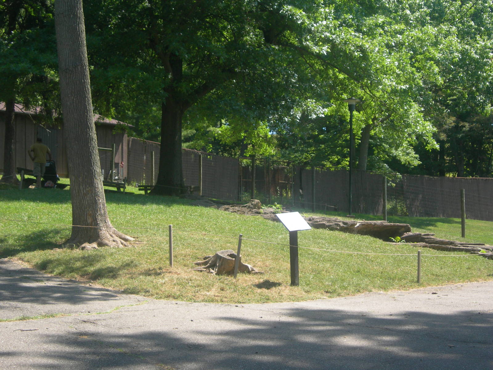 Kangaroo/wallaby exhibit