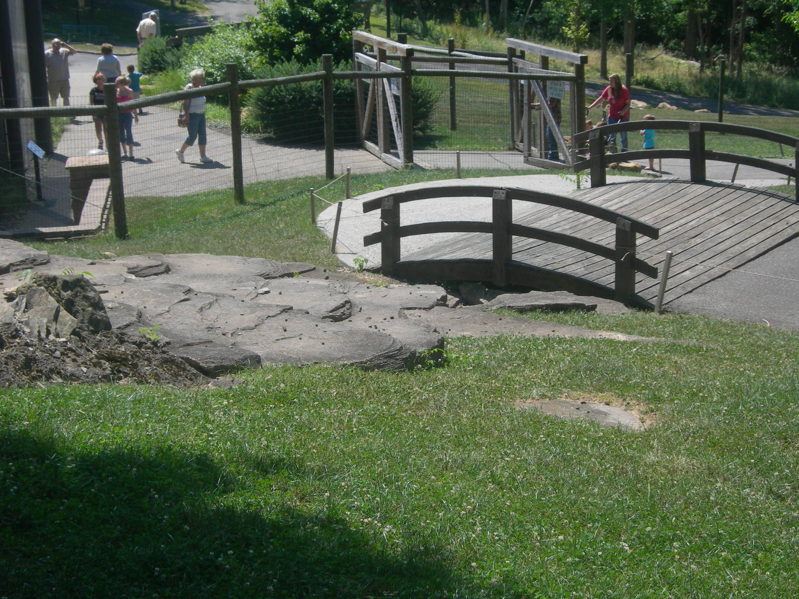 Kangaroo/wallaby exhibit