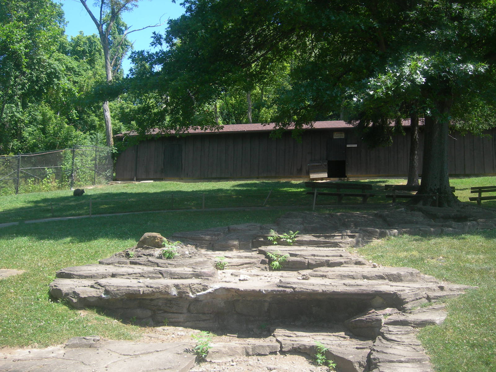 Kangaroo/wallaby exhibit