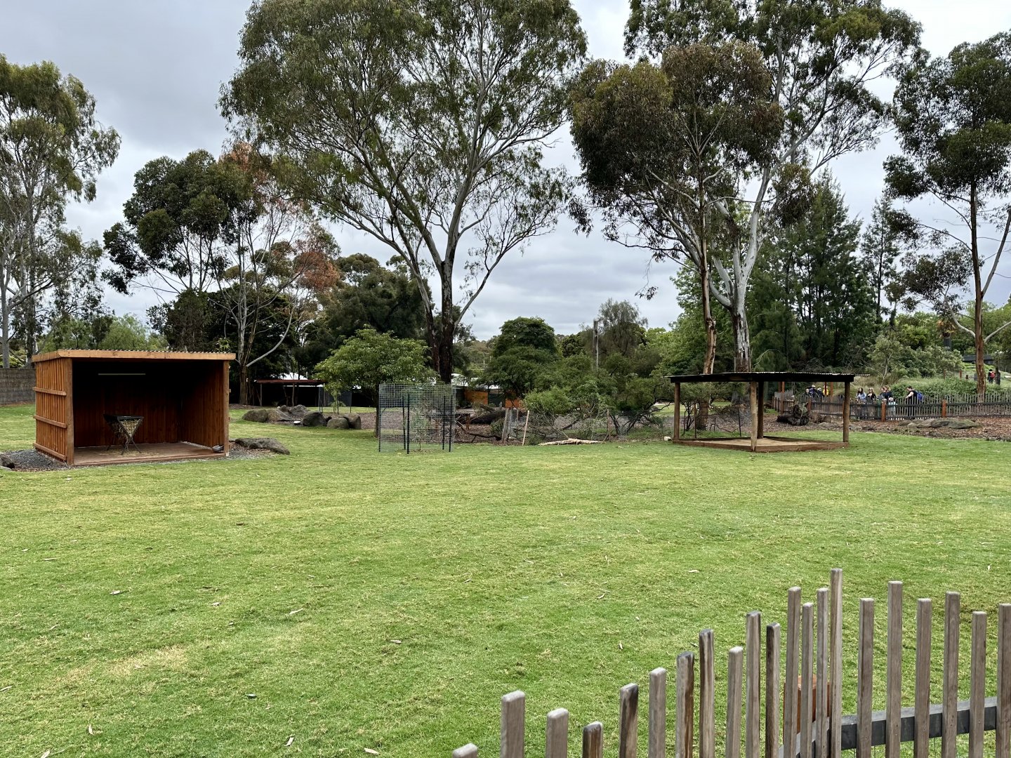 Kangaroo/Wallaby Exhibit