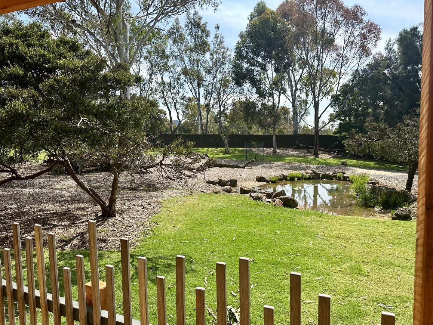 Kangaroo/Wallaby Exhibit