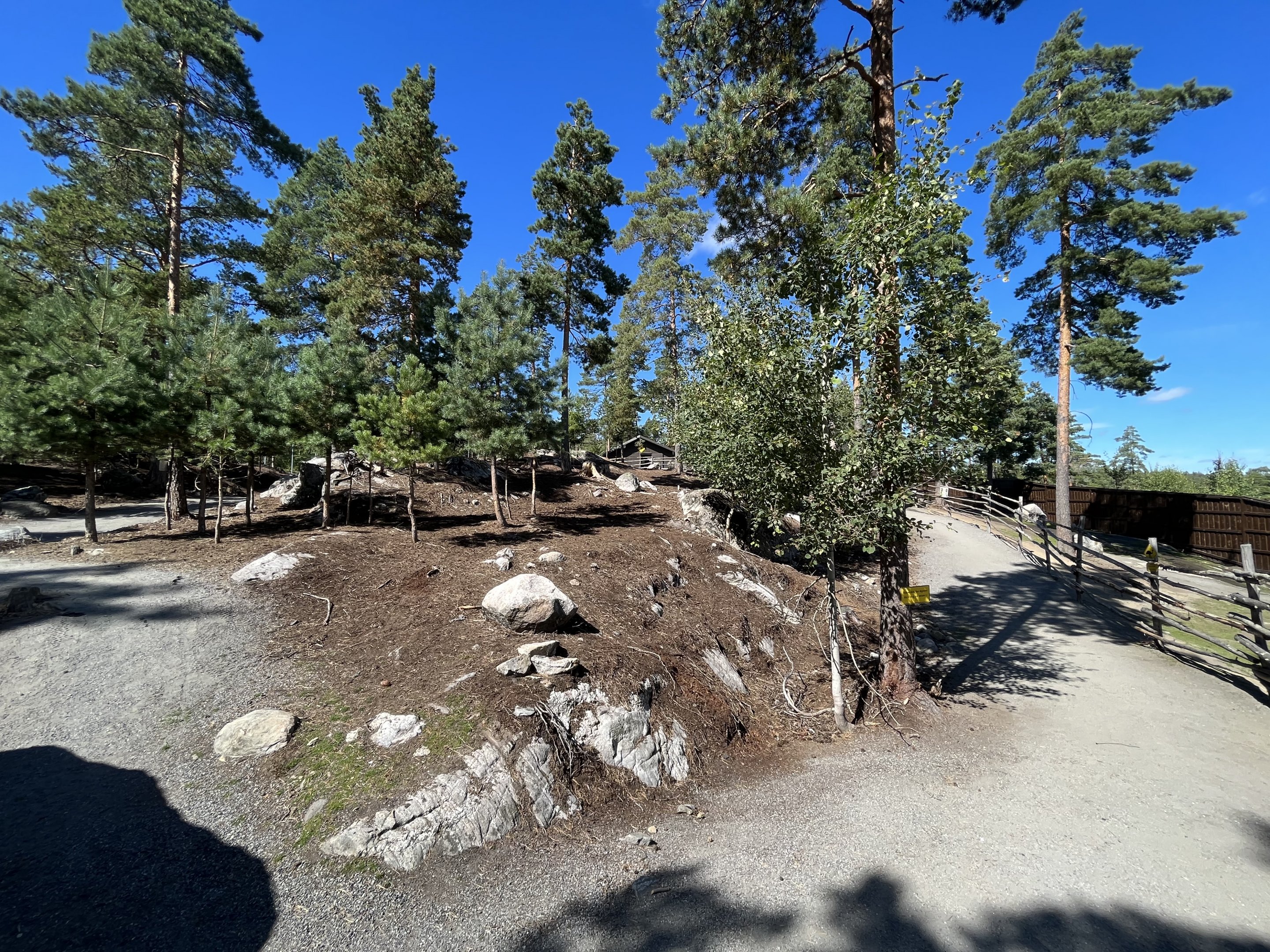 Kangaroo/Wallaby Walk Through