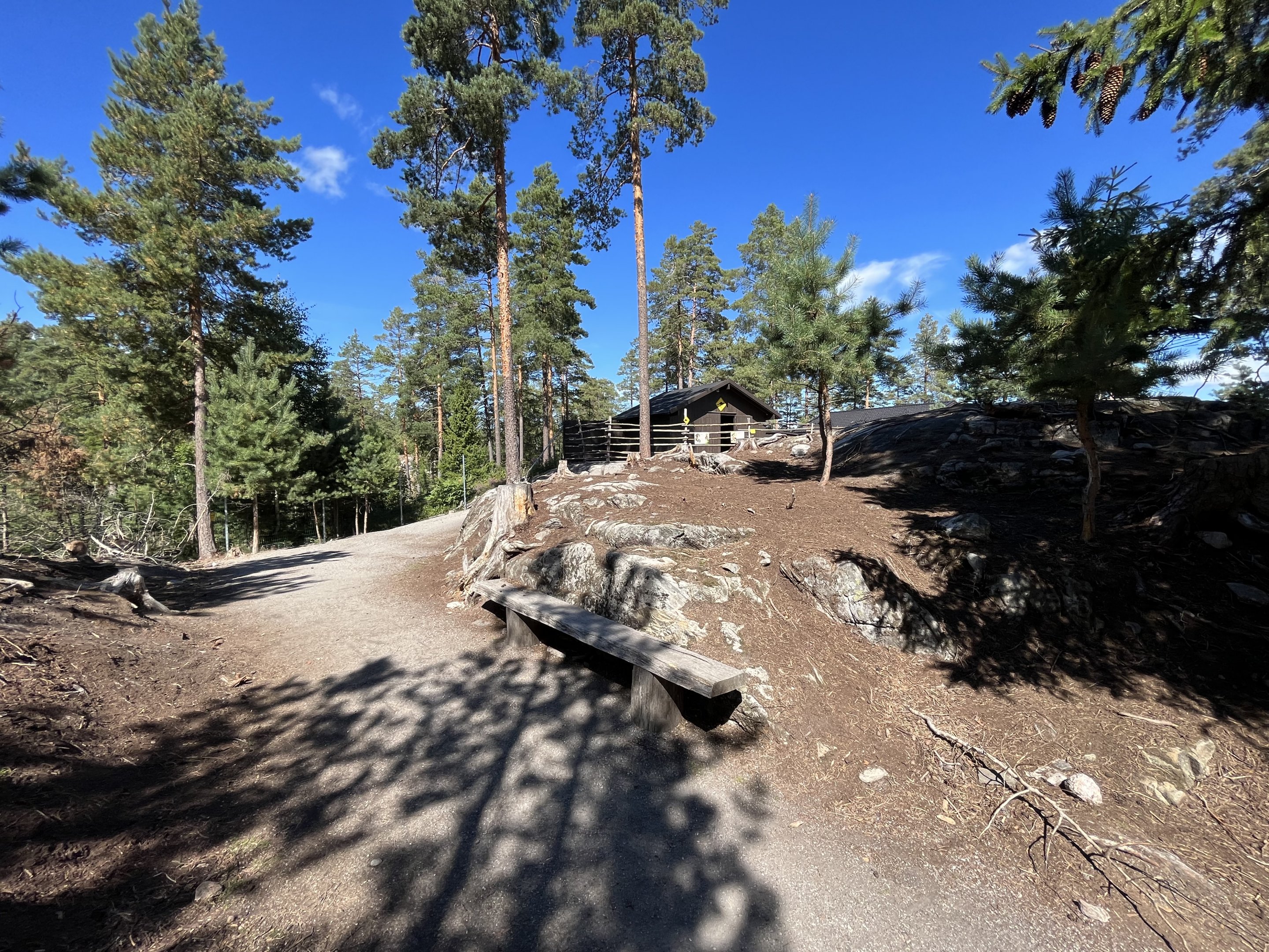 Kangaroo/Wallaby Walk Through
