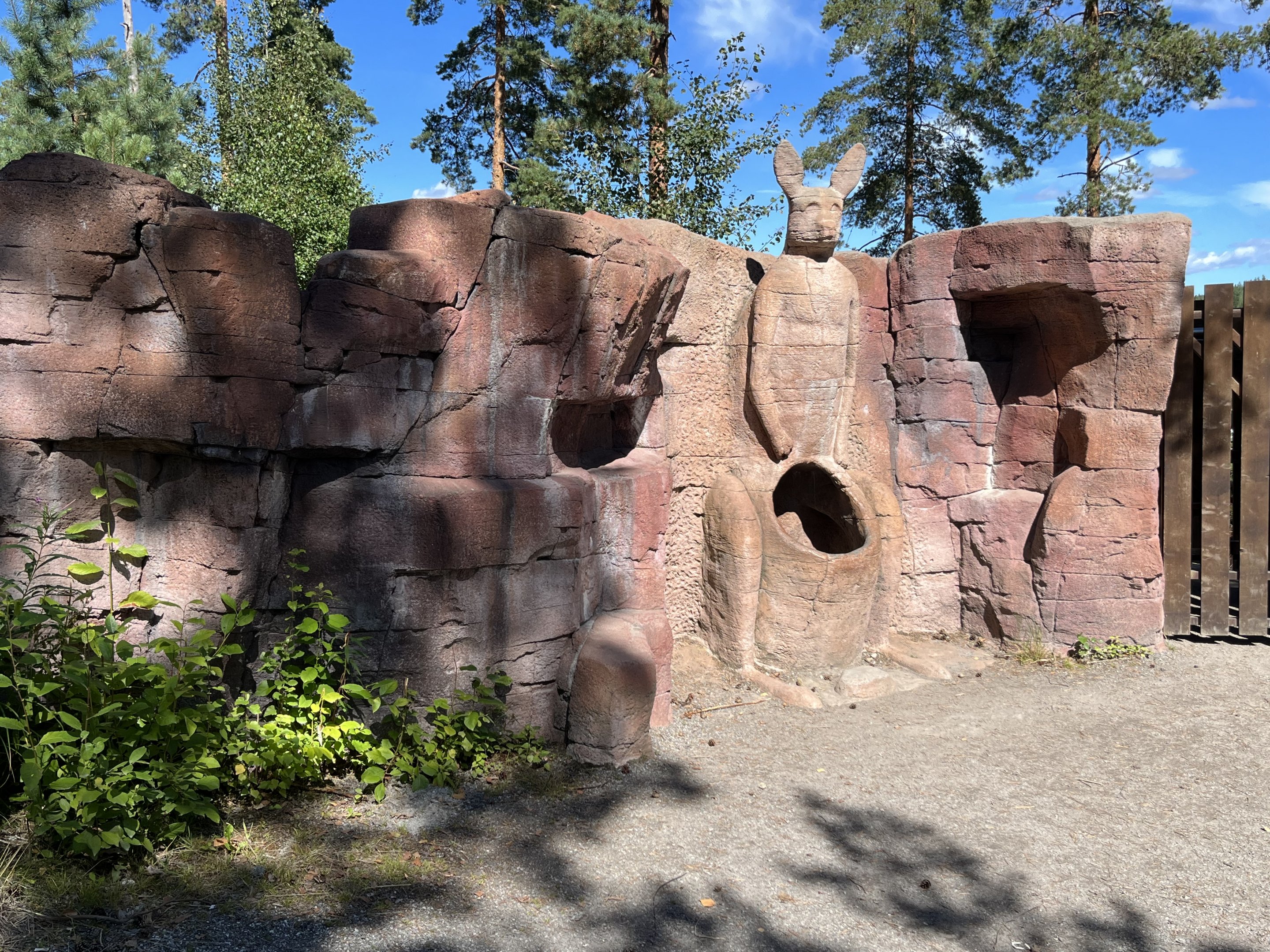 Kangaroo/Wallaby Walk Through