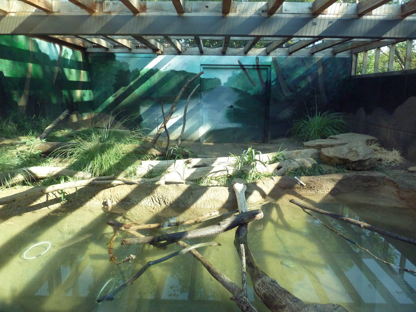 Kansas Carnivores - River Otter Exhibit