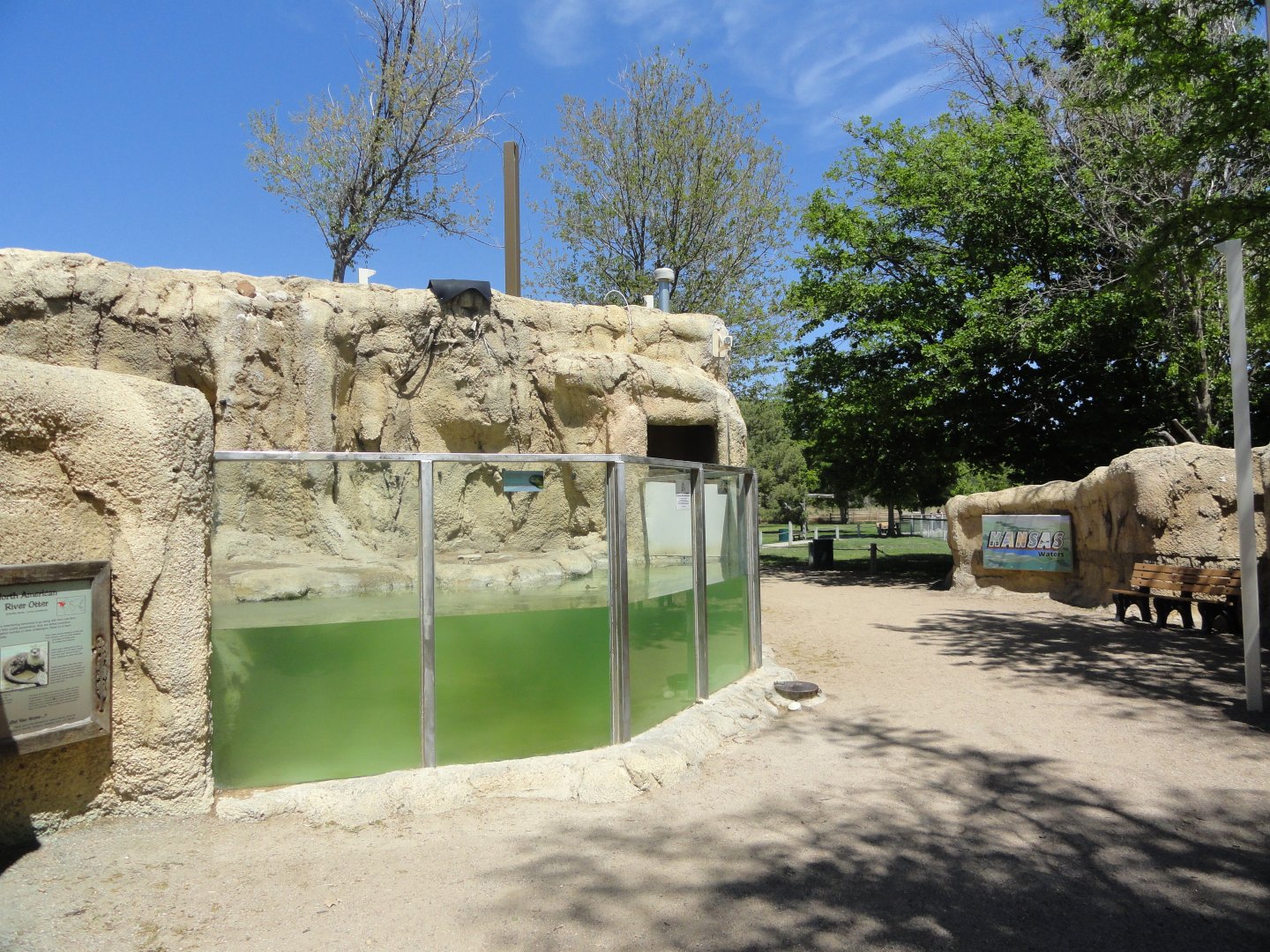 Kansas Waters Area - North American River Otter Exhibit