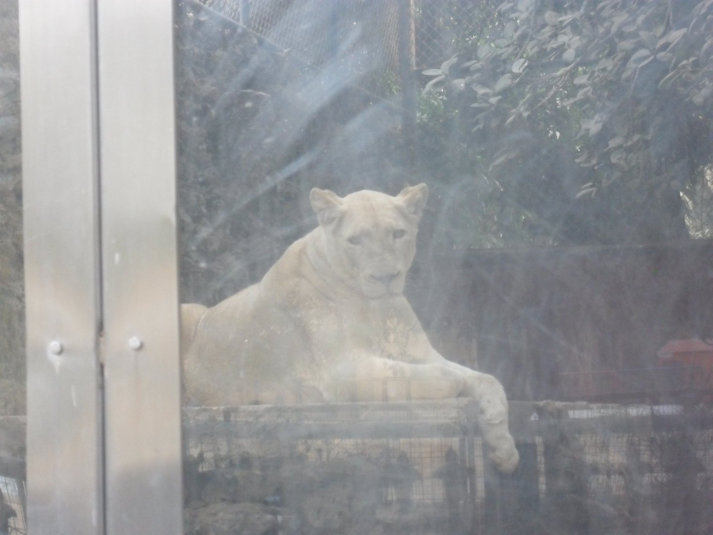 Karachi Zoo (Pakistan)