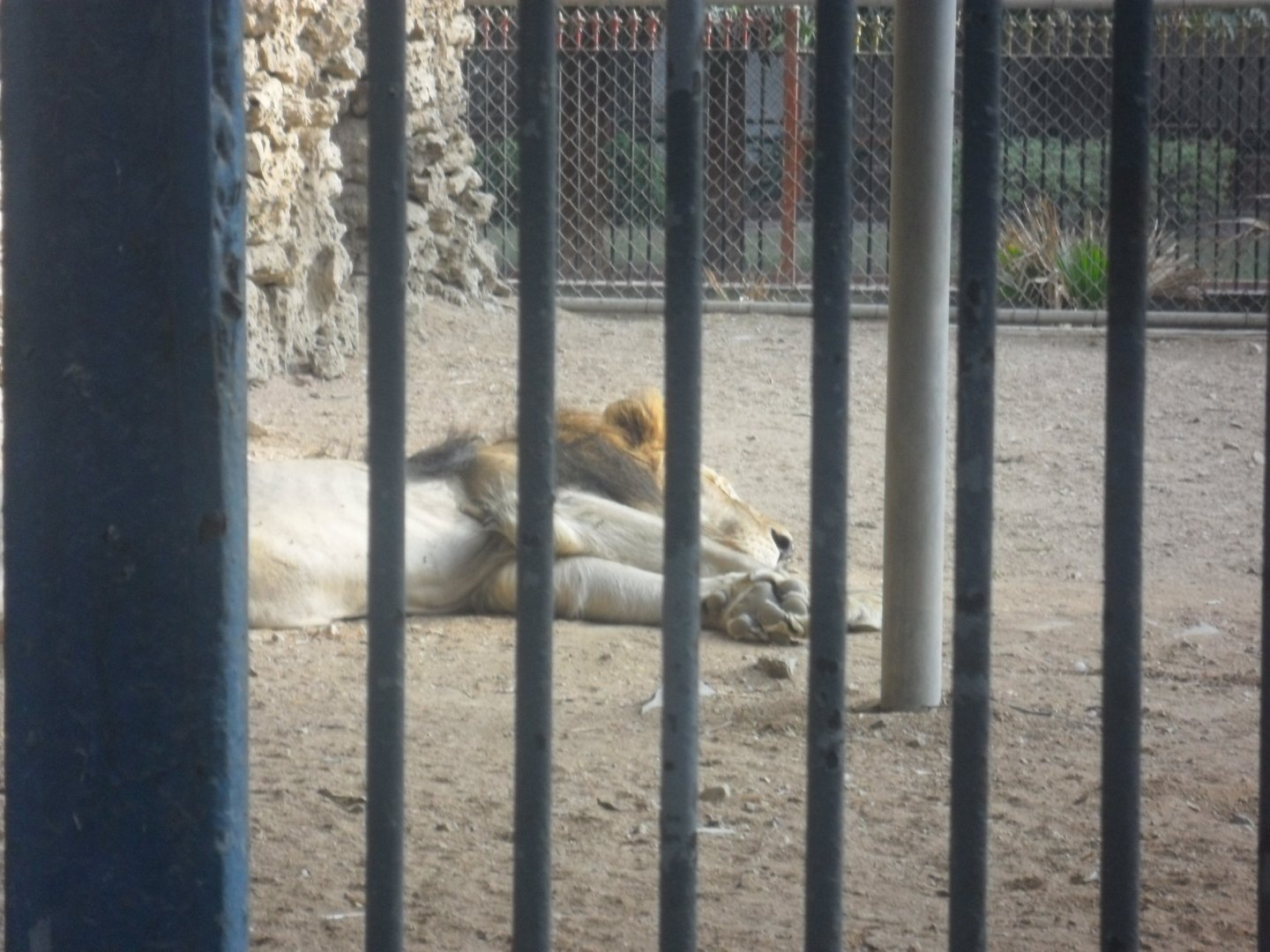 Karachi Zoo (Pakistan)