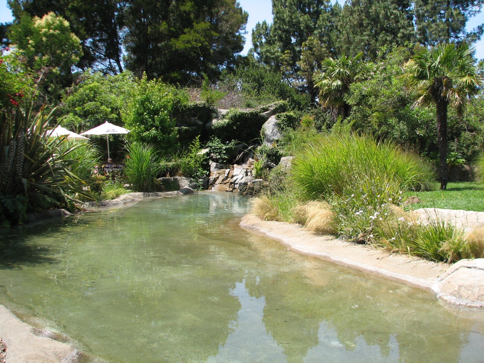 Karibu Village - Lesser Flamingo and African Spoonbill Exhibit