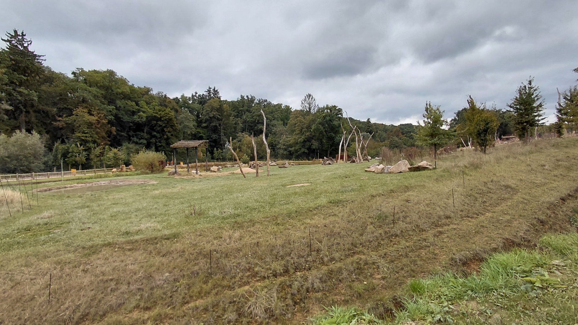 Karibuni - bush elephant exhibit