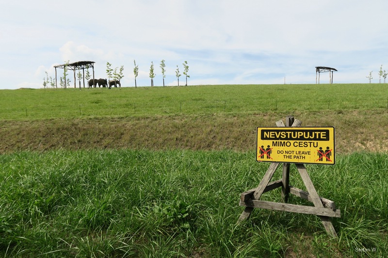 Karibuni Phase 1 - Elephants