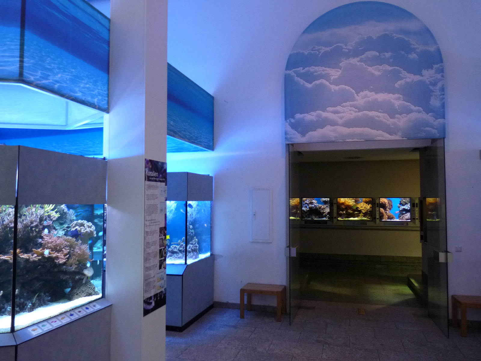 Karlsruhe Aquarium