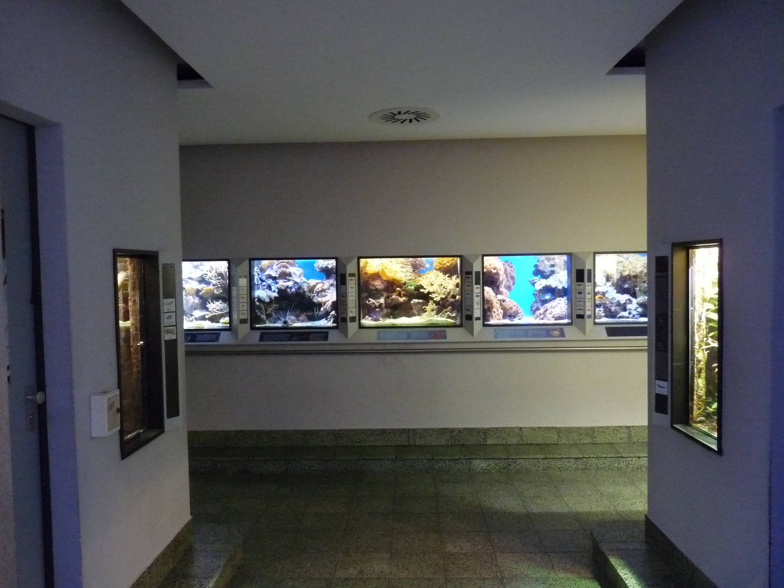 Karlsruhe Aquarium